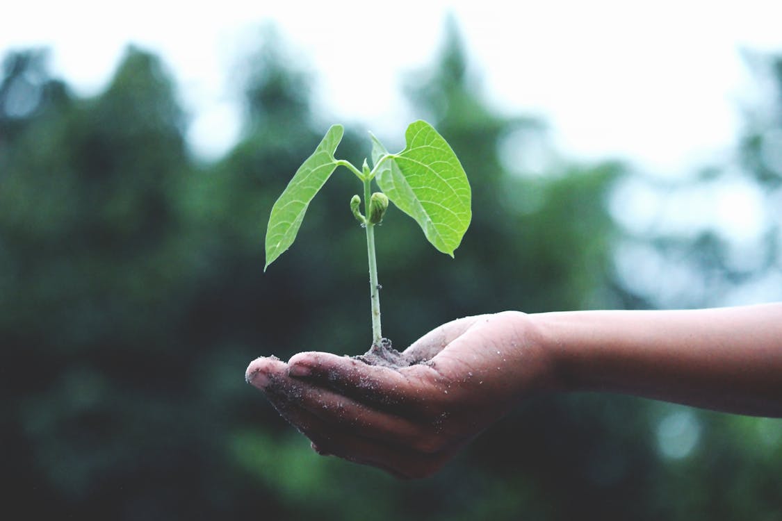 Green insurance: Building a 