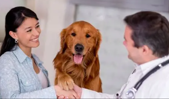 Pet Health Insurance with Telemedicine: Redefining Pet Care 