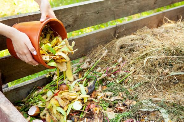 Home Compost System Liability Insurance: Protecting Eco-Cons