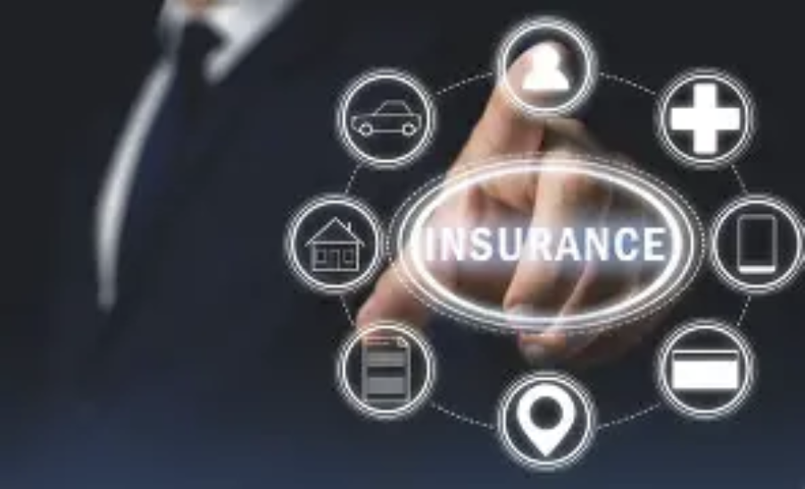 Commercial vs. Social Insurance: The Hidden Dynamics